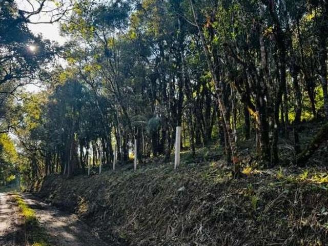 Sítio e chácara venda em Região Geográfica Imediata de Curitiba, Região Metropolitana de Curitiba