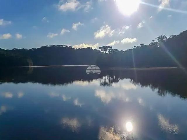 Sítio e chácara venda em Tijucas do Sul, Região Geográfica Intermediária de Curitiba