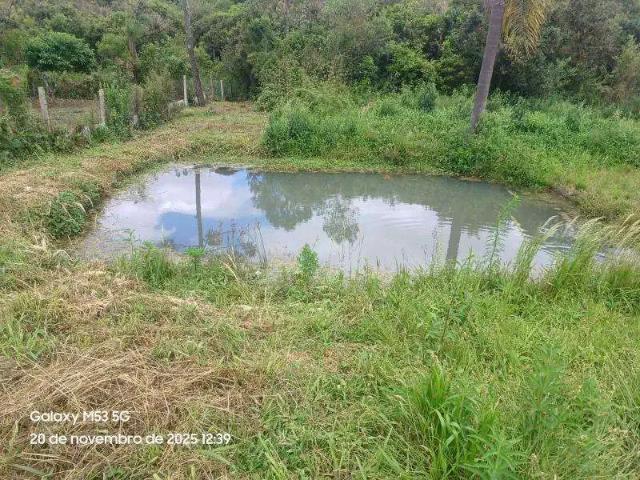 Sítio e chácara venda em Tijucas do Sul, Região Geográfica Intermediária de Curitiba