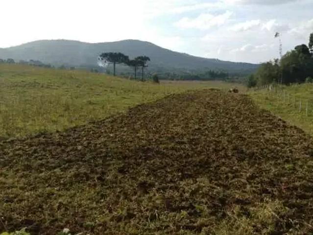 Sítio e chácara venda em Tijucas do Sul, Região Geográfica Intermediária de Curitiba