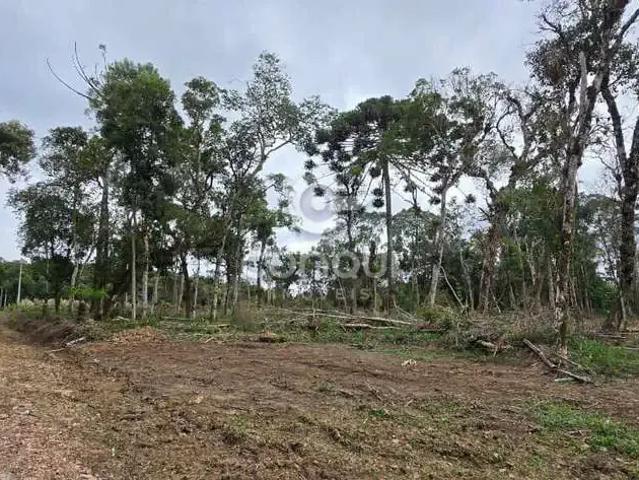 Sítio e chácara venda em Região Geográfica Imediata de Curitiba, Região Metropolitana de Curitiba