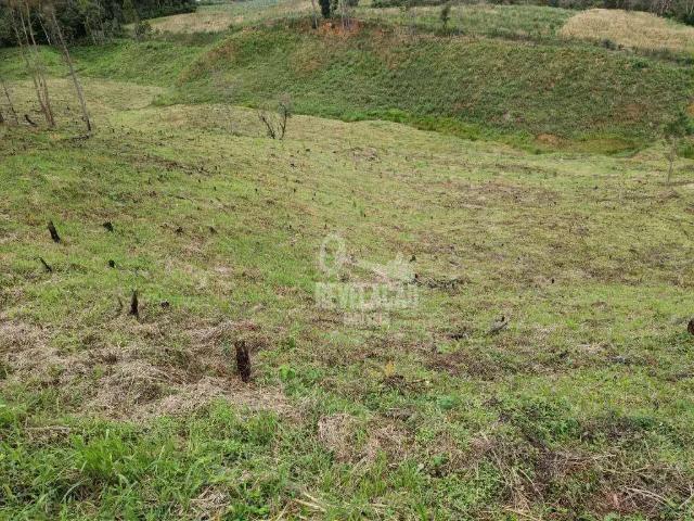 Sítio e chácara venda em Região Geográfica Imediata de Curitiba, Região Metropolitana de Curitiba