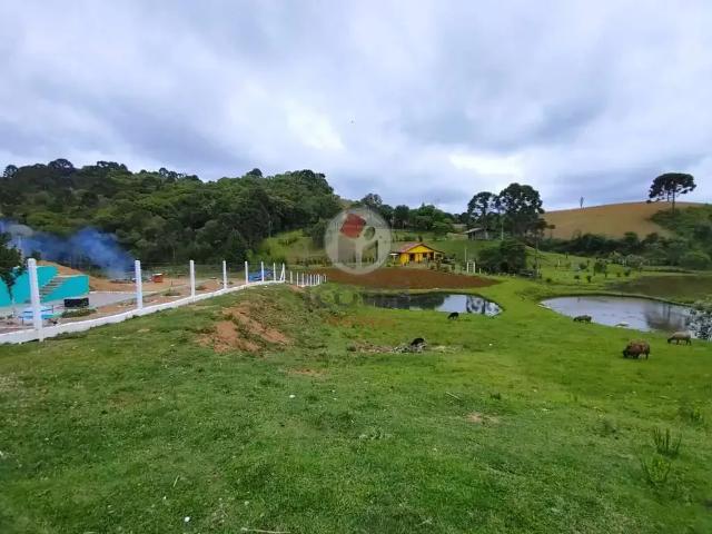 Sítio e chácara venda em Região Geográfica Imediata de Curitiba, Região Metropolitana de Curitiba