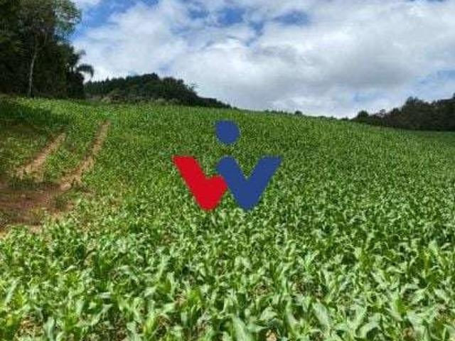 Sítio e chácara venda em Região Geográfica Imediata de Curitiba, Região Metropolitana de Curitiba