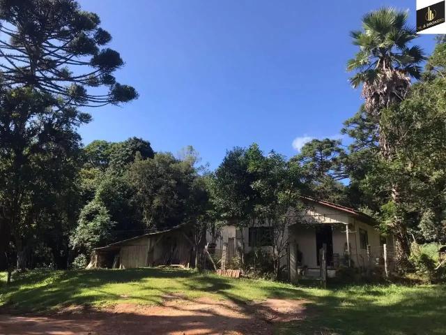 Sítio e chácara venda em Região Geográfica Imediata de Curitiba, Região Metropolitana de Curitiba