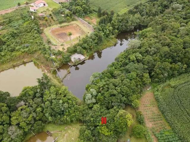 Sítio e chácara venda em Região Geográfica Imediata de Curitiba, Região Metropolitana de Curitiba