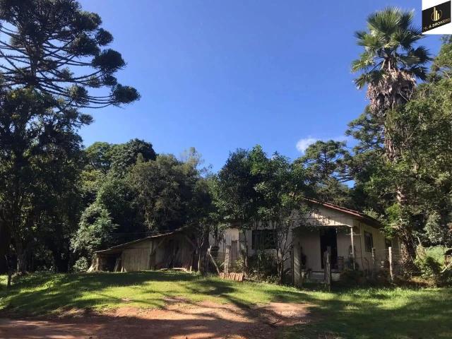 Sítio e chácara venda em Tijucas do Sul, Região Geográfica Intermediária de Curitiba