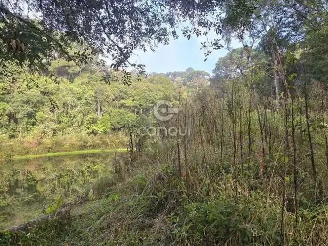 Sítio e chácara venda em Região Geográfica Imediata de Curitiba, Região Metropolitana de Curitiba