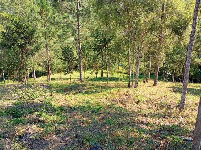 Sítio e chácara venda em Região Geográfica Imediata de Itajaí, Tijucas