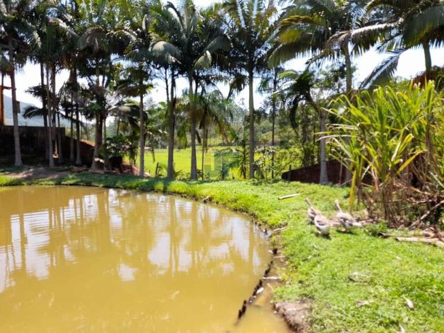 Sítio e chácara venda em Tijucas, XV de Novembro