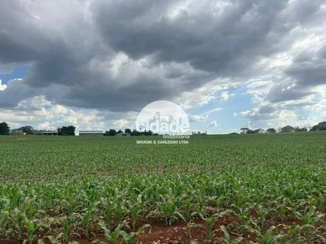 Sítio e chácara venda em Região Geográfica Imediata de Itajaí, Tijucas