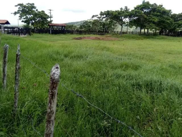 Sítio e chácara venda em Região Geográfica Imediata do Recife, Região Metropolitana do Recife
