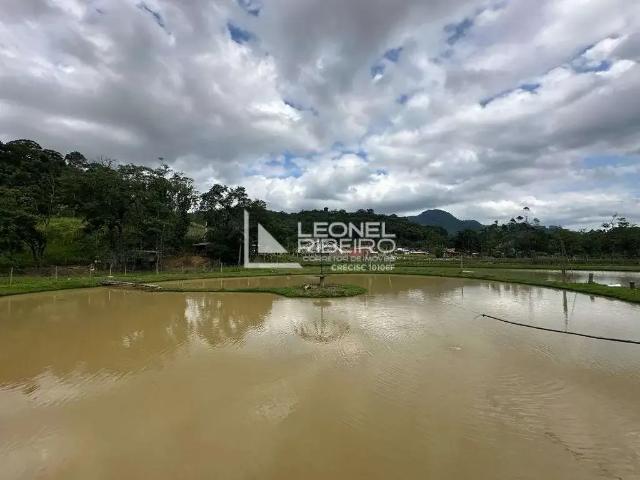 Sítio e chácara venda em Região Geográfica Imediata de Blumenau, Timbó
