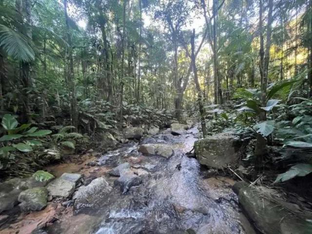 Sítio e chácara venda em Região Geográfica Imediata de Blumenau, Timbó