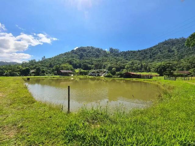 Sítio e chácara venda em Região Geográfica Imediata de Blumenau, Indaial