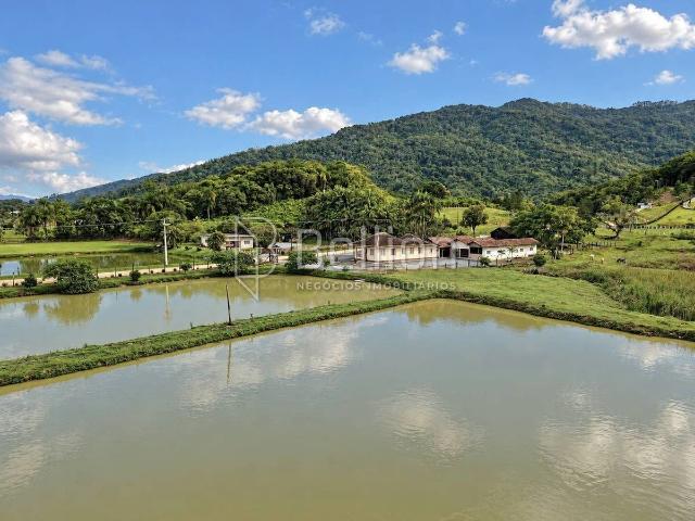 Sítio e chácara venda em Tiroleses, Timbó