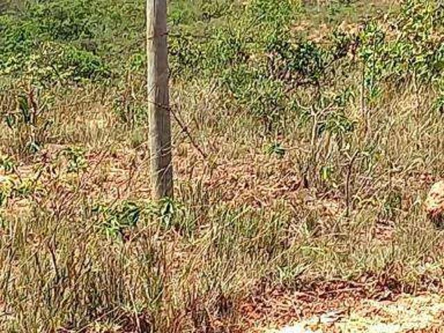 Sítio e chácara venda em Cônego Getúlio, Patos de Minas