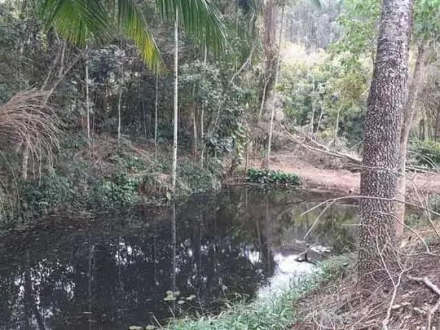 Sítio e chácara venda em Região Geográfica Imediata de Ubá, Tocantins