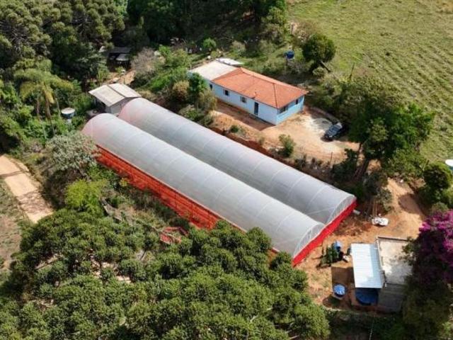 Sítio e chácara venda em Região Geográfica Imediata de Pouso Alegre, Região Sudeste
