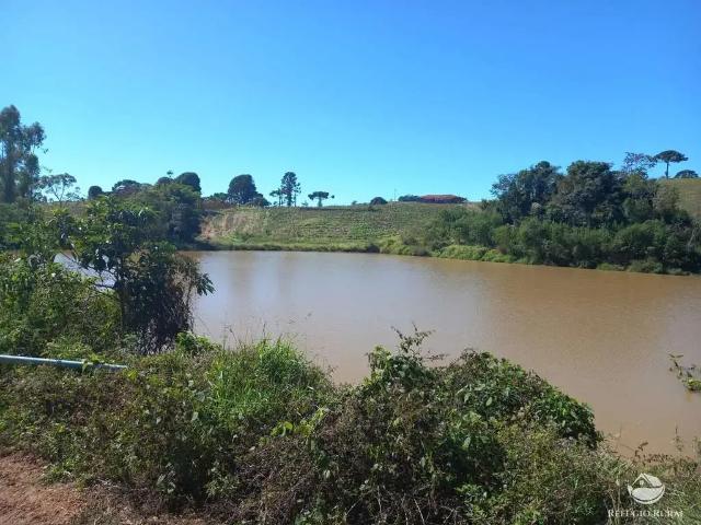 Sítio e chácara venda em Região Geográfica Imediata de Governador Valadares, Governador Valadares