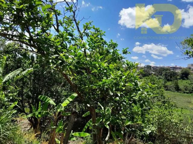 Sítio e chácara venda em Região Geográfica Imediata de Pouso Alegre, Região Sudeste