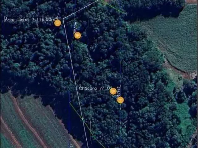 Sítio e chácara venda em Região Geográfica Imediata de Toledo, Toledo