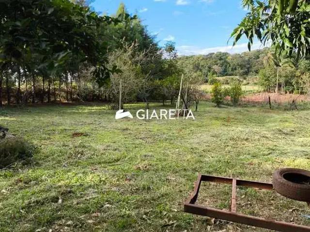 Sítio e chácara venda em Toledo, Região Geográfica Intermediária de Cascavel