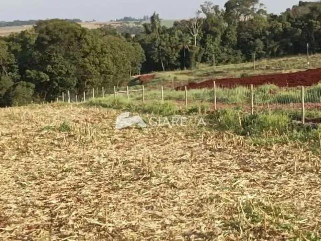 Sítio e chácara venda em Região Geográfica Imediata de Toledo, Toledo