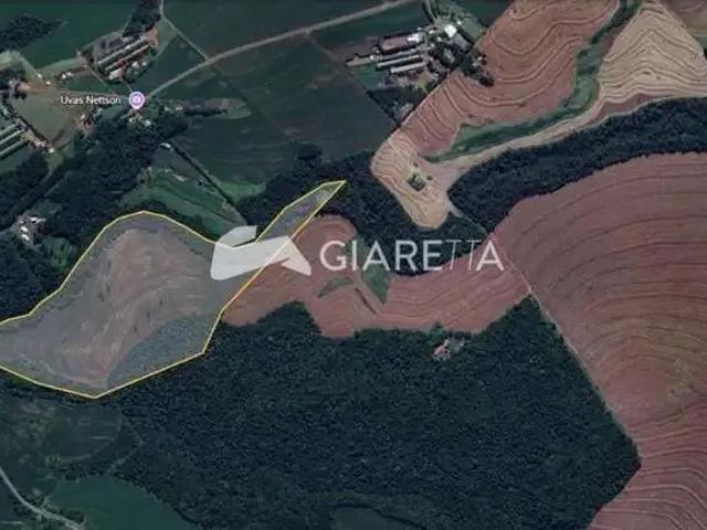 Sítio e chácara venda em Região Geográfica Imediata de Toledo, Toledo
