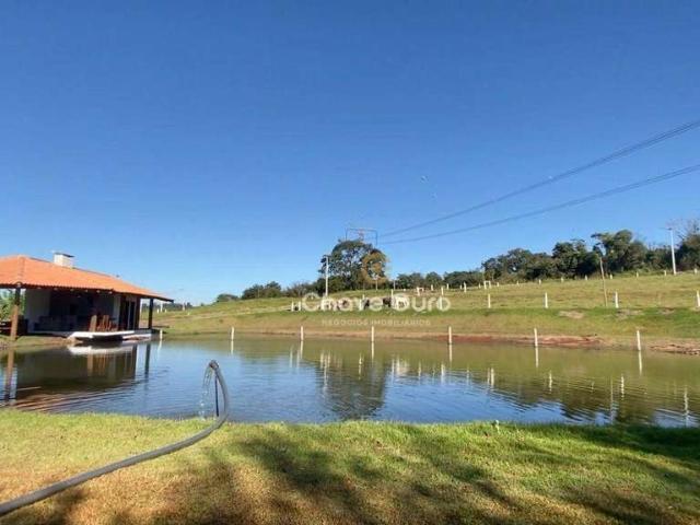 Sitio venda em Toledo, Concórdia do Oeste