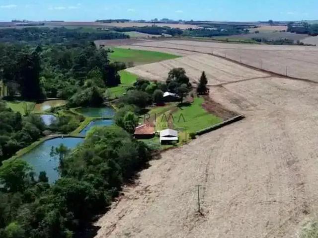 Sítio e chácara venda em Região Geográfica Imediata de Toledo, Toledo