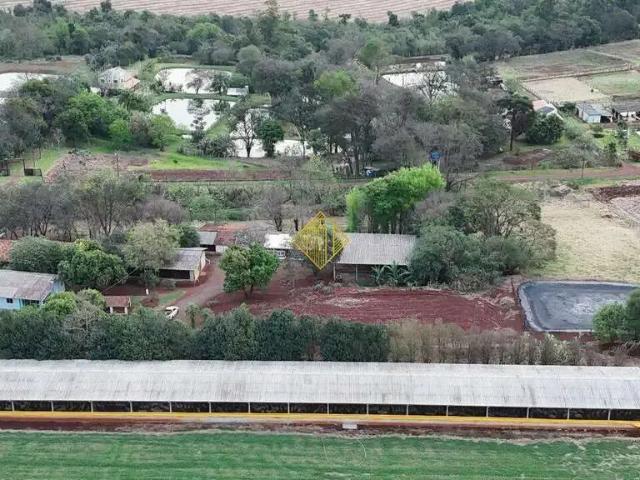Sítio e chácara venda em Região Geográfica Imediata de Toledo, Toledo