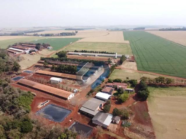 Sítio e chácara venda em Sobradinho, Região Sul