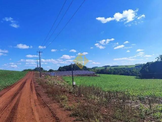 Sítio e chácara venda em Região Geográfica Imediata de Toledo, Toledo