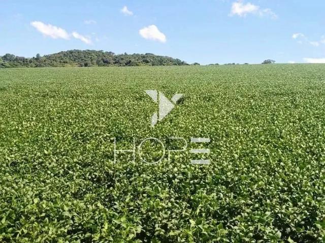 Sítio e chácara venda em Região Geográfica Imediata de Santo Antônio da Platina, Tomazina