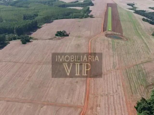 Sítio e chácara venda em Região Geográfica Imediata de Santo Antônio da Platina, Tomazina