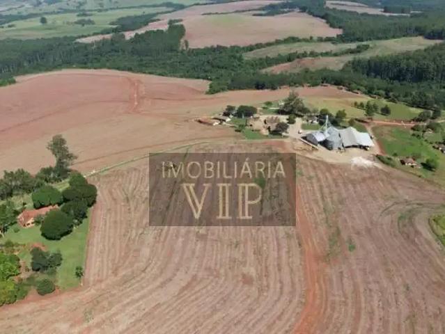 Sítio e chácara venda em Região Geográfica Imediata de Santo Antônio da Platina, Tomazina