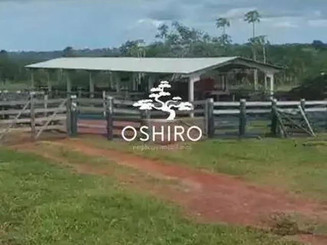 Sítio e chácara venda em Região Geográfica Imediata de Barra do Garças, Torixoreu