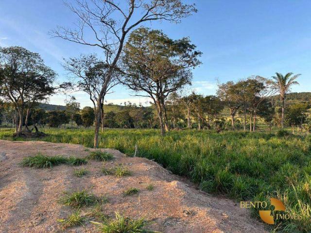 Sítio e chácara venda em Torixoréu, Região Geográfica Intermediária de Barra do Garças