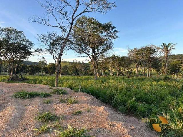 Sítio e chácara venda em Região Geográfica Imediata de Barra do Garças, Torixoreu
