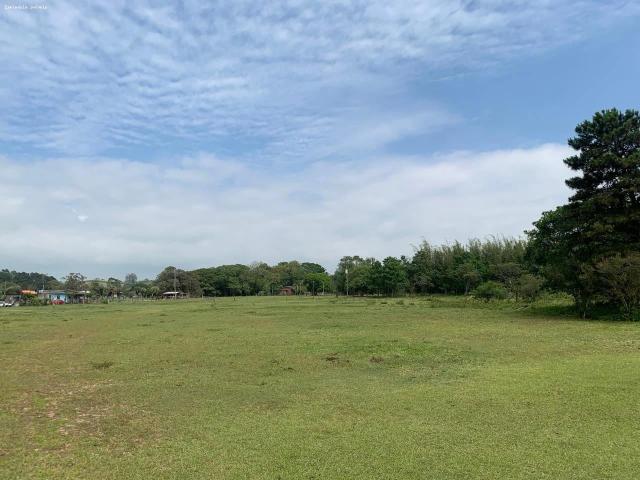 Sítio e chácara venda em Torres