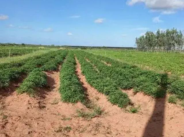 Sítio e chácara venda em Região Geográfica Imediata de Salvador, Região Metropolitana de Salvador