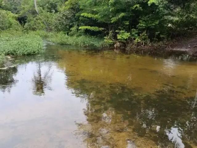 Sítio e chácara venda em Região Geográfica Imediata de Natal, Touros
