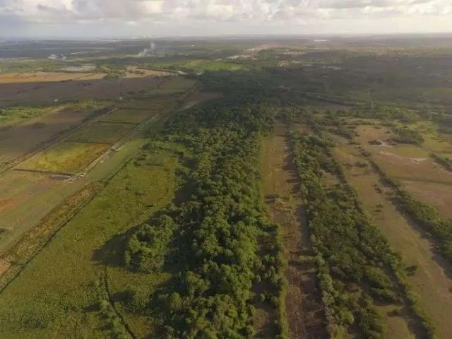 Sítio e chácara venda em Região Geográfica Imediata de Natal, Touros