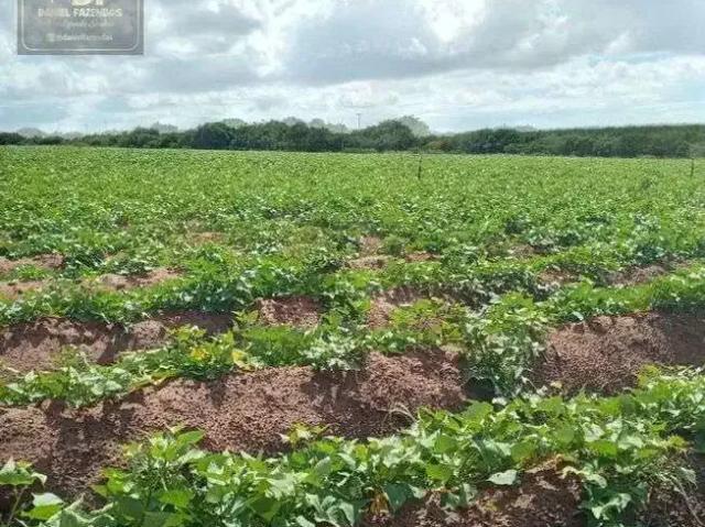 Sítio e chácara venda em Região Geográfica Imediata de Salvador, Região Metropolitana de Salvador