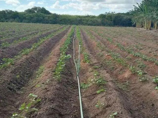 Sítio e chácara venda em Região Geográfica Imediata de Salvador, Região Metropolitana de Salvador