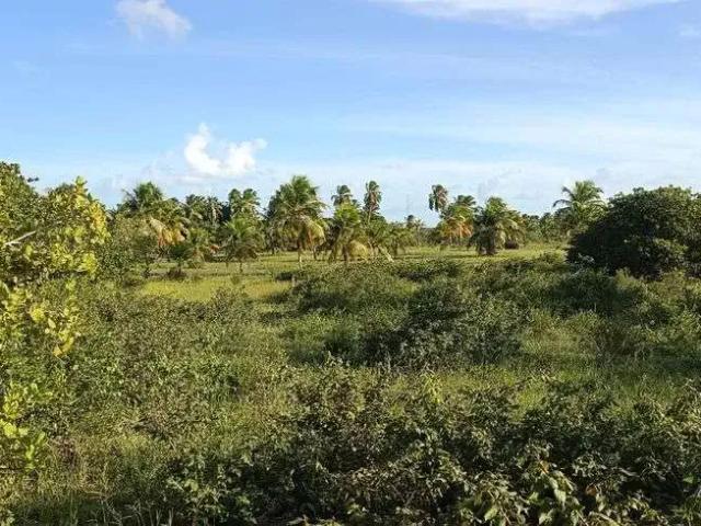 Sítio e chácara venda em Região Geográfica Imediata de Salvador, Região Metropolitana de Salvador