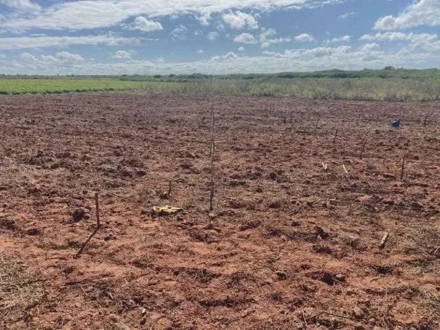 Sítio e chácara venda em Região Geográfica Imediata de Salvador, Região Metropolitana de Salvador