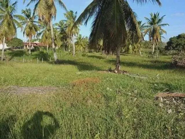 Sítio e chácara venda em Touros