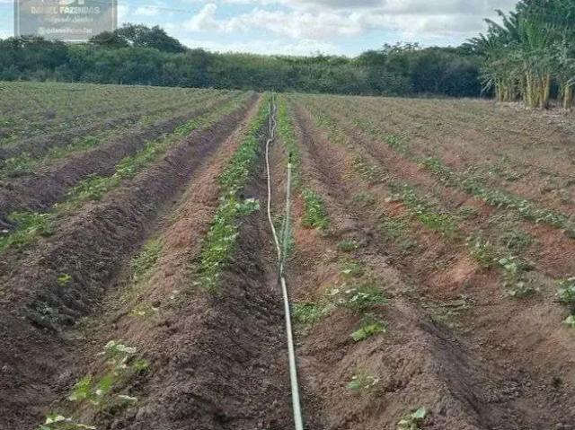 Sítio e chácara venda em Região Geográfica Imediata de Salvador, Região Metropolitana de Salvador